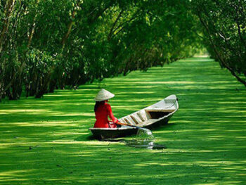 Du lịch Miền Tây – Du lịch Châu Đốc – Hà Tiên – Cần Thơ