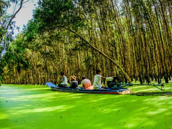Tour Miền Tây mùa nước nổi 3 ngày 2 đêm: Làng Nổi Tân Lập – Đồng Tháp – Vàm Nao – Cồn Én – Châu Đốc