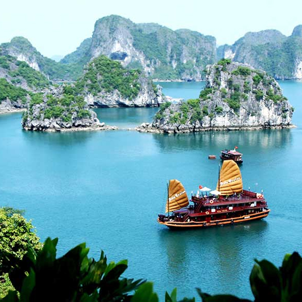 TOUR TRONG NƯỚC